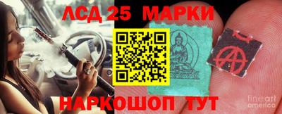 гашик Ярцево